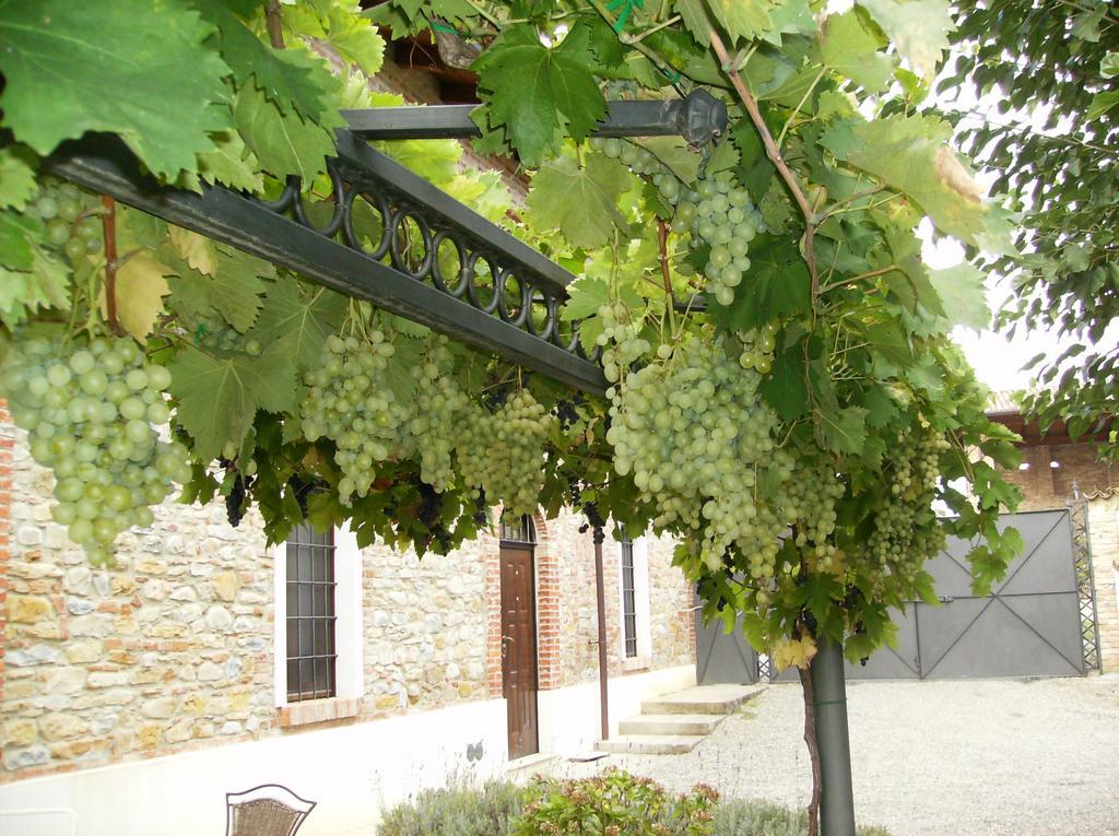 Agriturismo Casa Garello Salice Terme Exterior photo