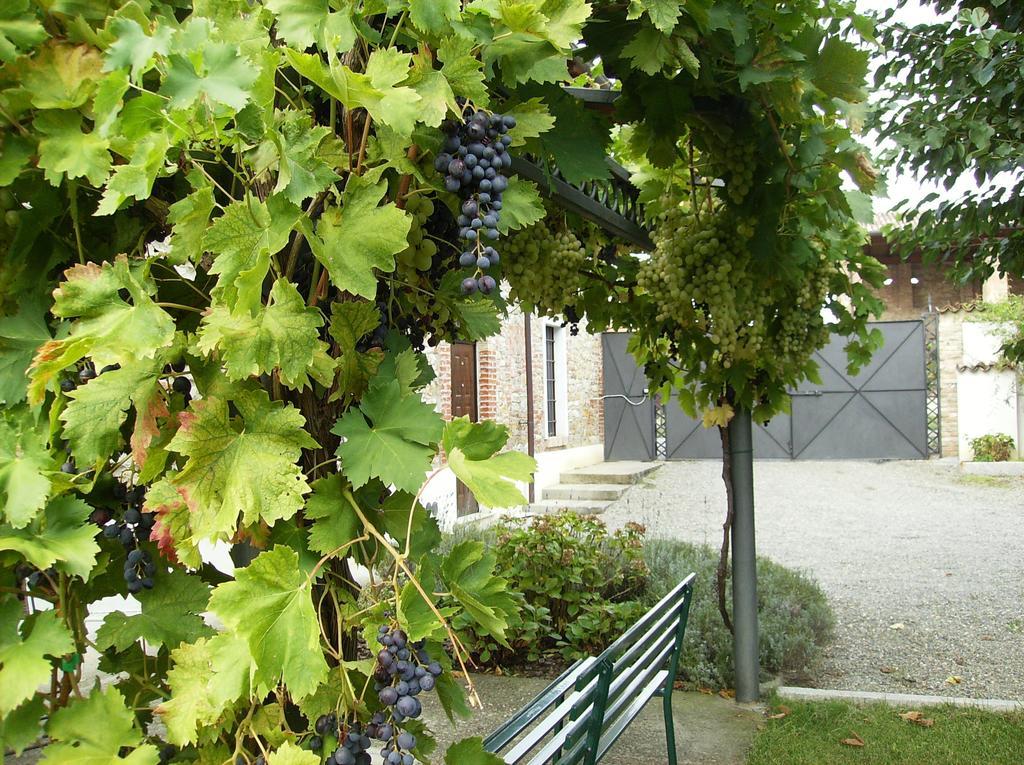 Agriturismo Casa Garello Salice Terme Exterior photo